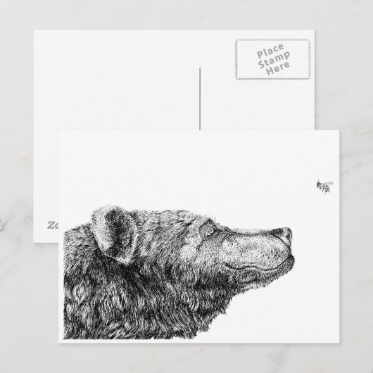 Bärn-Notwendigkeiten durch Inkspot Postkarte (Vorne/Hinten)