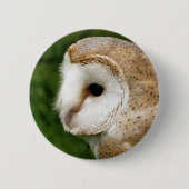 BARN OWL BUTTON (Vorderseite)