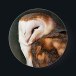 BARN OWL BUTTON<br><div class="desc">Ein gouache art design einer niedlichen uhu.</div>