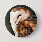 BARN OWL BUTTON (Vorderseite)
