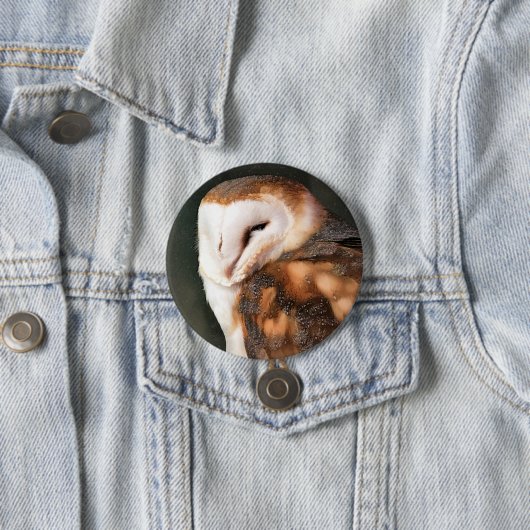 BARN OWL BUTTON (Beispiel)