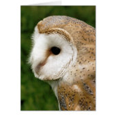 BARN OWL CARD (Vorne)