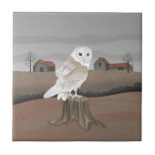 Barn Owl Fliese (Vorderseite)