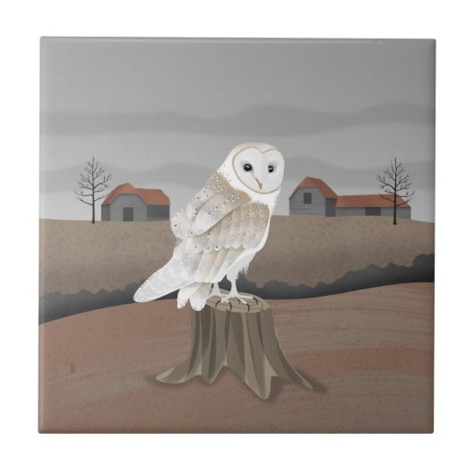 Barn Owl Fliese (Vorderseite)