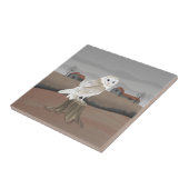 Barn Owl Fliese (Seite)
