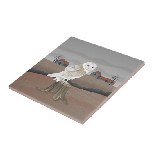 Barn Owl Fliese (Seite)
