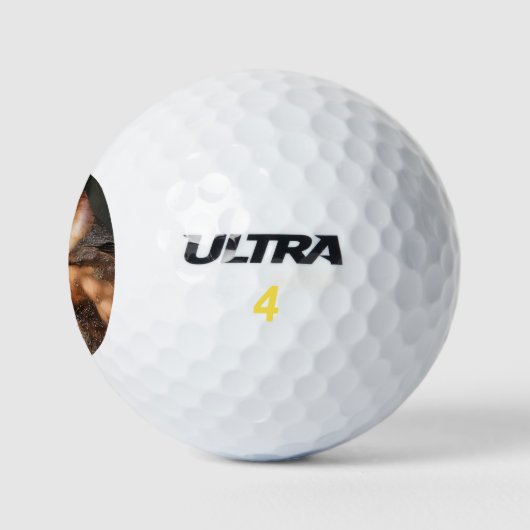 BARN OWL GOLFBALL (Logo)