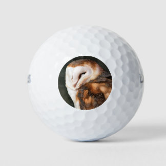 BARN OWL GOLFBALL