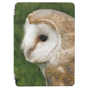 BARN OWL iPad AIR HÜLLE