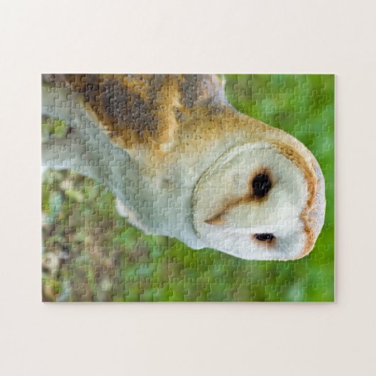 Barn Owl Jigsaw Puzzle (Horizontal)