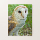 Barn Owl Jigsaw Puzzle (Vertikal)