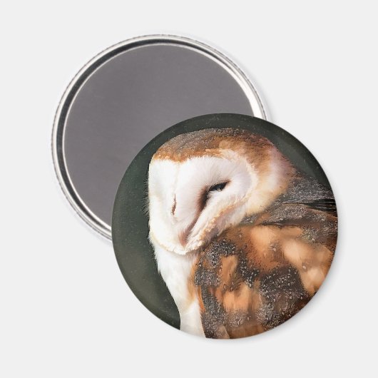 BARN OWL MAGNET (Vorderseite/Rückseite)