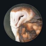 BARN OWL MAGNET<br><div class="desc">Ein gouache art design einer niedlichen uhu.</div>