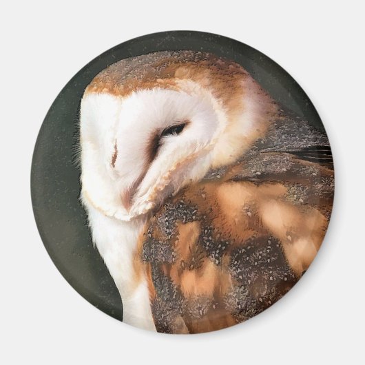 BARN OWL MAGNET (Vorne)