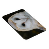 Barn Owl Magnet (Rechte Seite)