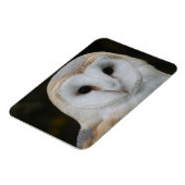 Barn Owl Magnet (Linke Seite)