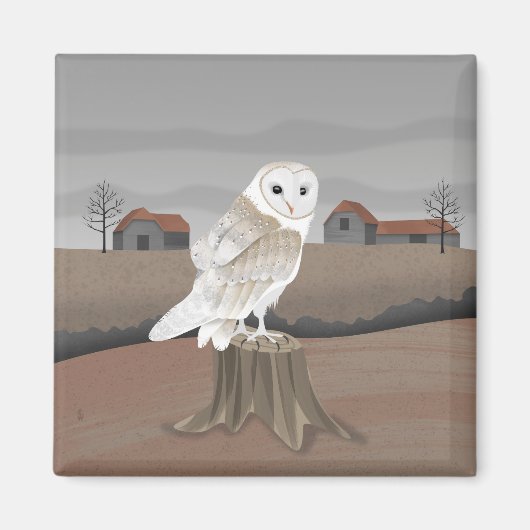 Barn Owl Magnet (Vorne)