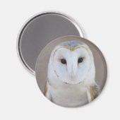 Barn Owl Magnet (Vorderseite/Rückseite)