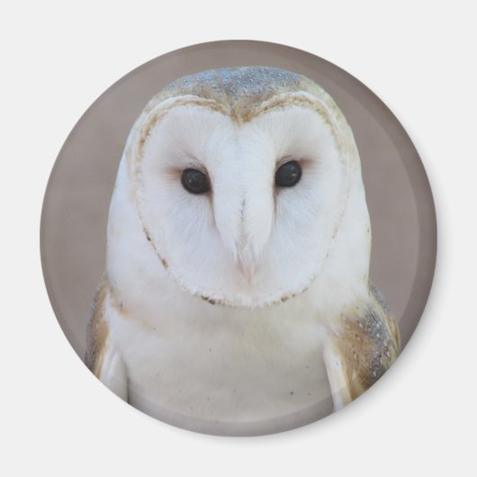 Barn Owl Magnet (Vorne)