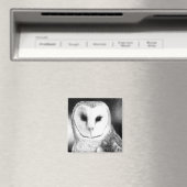 Barn Owl Magnet - "Grayson" (In Situ (Geschirrspüler))