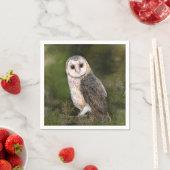 Barn Owl Napkins Serviette (Beispiel)