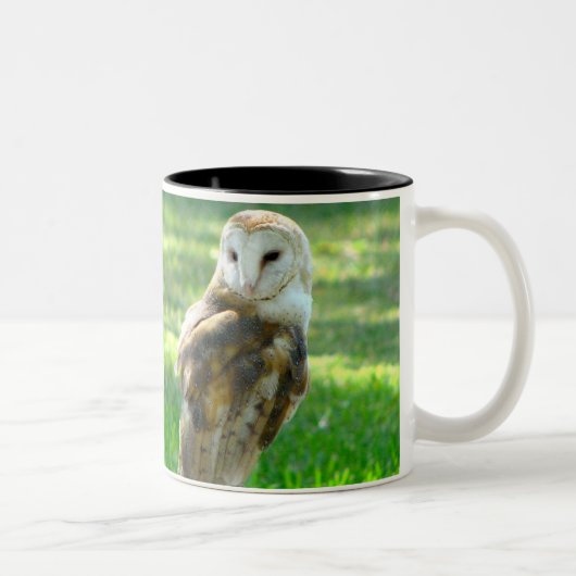 Barn Owl Nature Zweifarbige Tasse (Rechts)