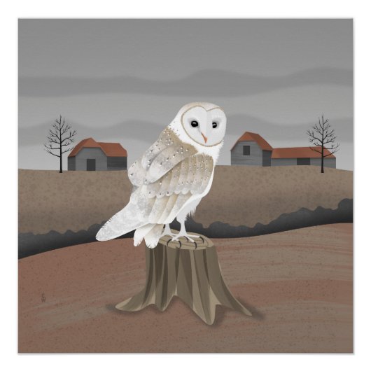 Barn Owl Poster (Vorderseite)