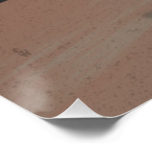 Barn Owl Poster (Ecke)