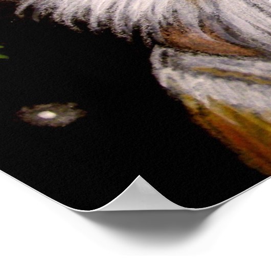 BARN OWL Poster (Ecke)