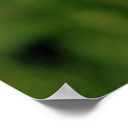 BARN OWL POSTER (Ecke)