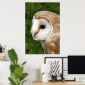 BARN OWL POSTER (Heimbüro)