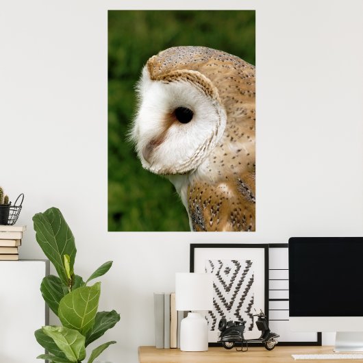 BARN OWL POSTER (Heimbüro)