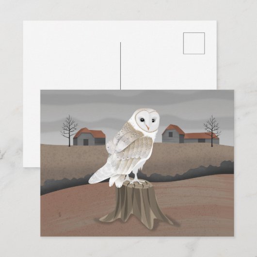 Barn Owl Postkarte (Vorne/Hinten)