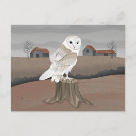 Barn Owl Postkarte
