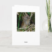 Barn owl Schottland Karte (Rückseite)