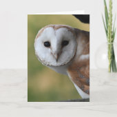 Barn owl Schottland Karte (Vorderseite)