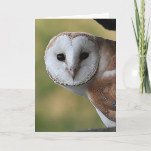 Barn owl Schottland Karte (Vorderseite)