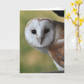 Barn owl Schottland Karte (Gelbe Blume)