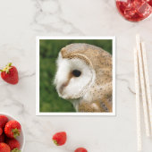 BARN OWL SERVIETTE (Beispiel)