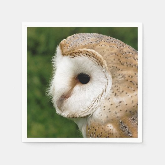 BARN OWL SERVIETTE (Vorderseite)