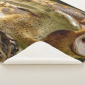 BARN OWL SHERPADECKE (3/4)