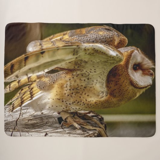BARN OWL SHERPADECKE (Vorderseite (Horizontal))
