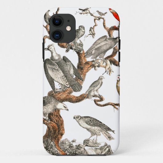 Barn Owl Snowy Bird Nature Case-Mate iPhone Hülle (Rückseite)