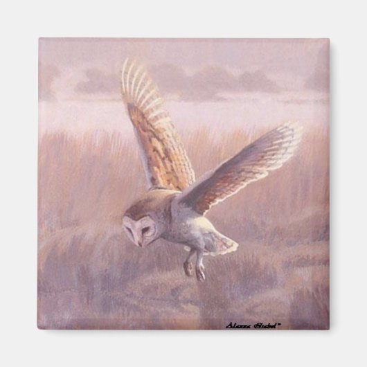 Barn Owl Square Magnet (Vorne)