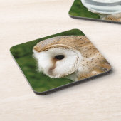 BARN OWL UNTERSETZER (Linke Seite)