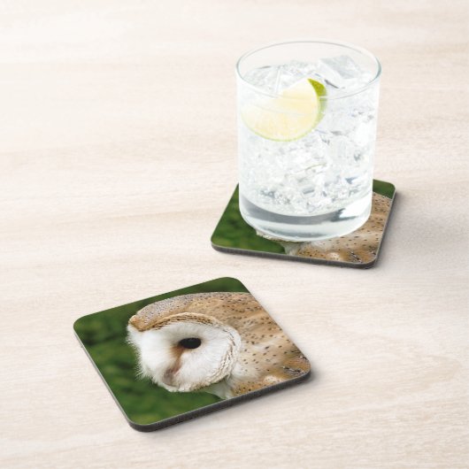 BARN OWL UNTERSETZER (Rechte Seite)