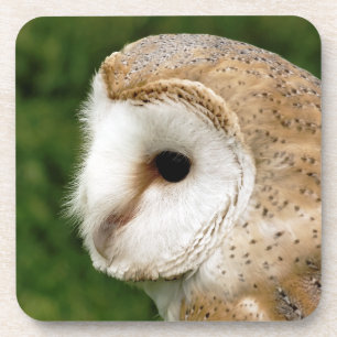 BARN OWL UNTERSETZER