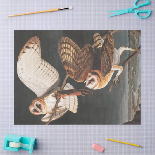 Barn Owl von John James Audubon Seidenpapier (Basteln)