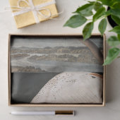 Barn Owl von John James Audubon Seidenpapier (Geschenk)