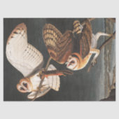 Barn Owl von John James Audubon Seidenpapier (Vorderseite)